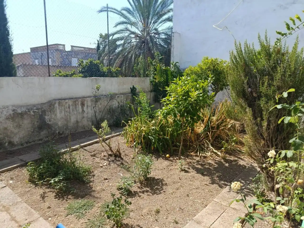 Jardí de Casa o xalet en venda en  Palma de Mallorca amb Aire condicionat, Calefacció i Jardí privat