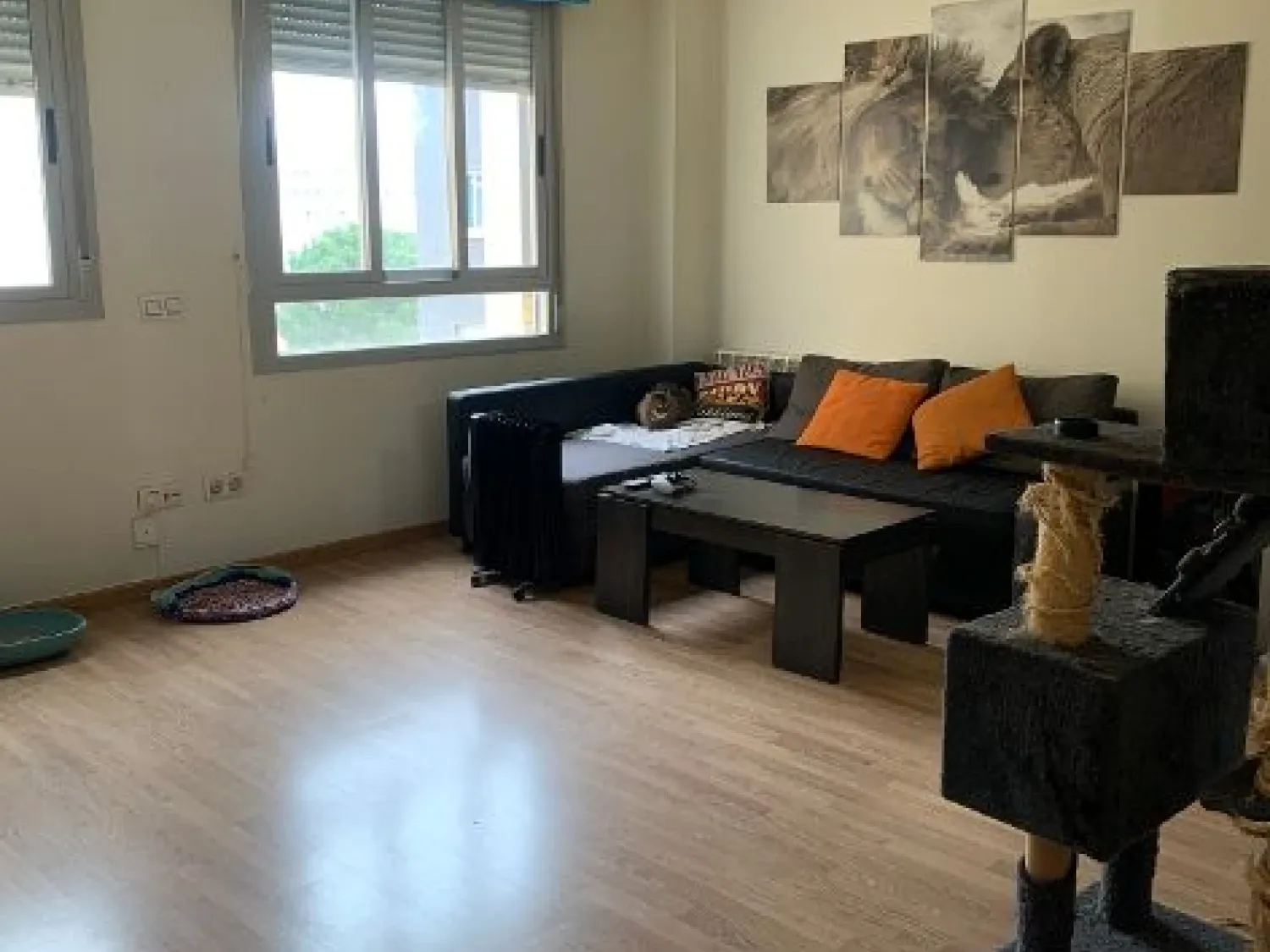 Sala d'estar de Pis de lloguer en Alcalá de Henares amb Calefacció, Forn i Rentadora