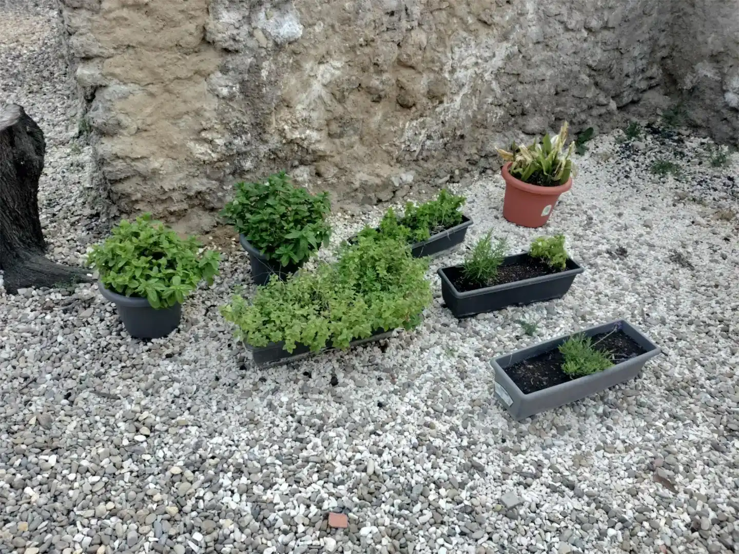 Jardí de Finca rústica en venda en Villafeliche amb Aire condicionat, Jardí privat i Balcó