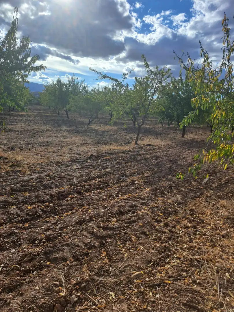 Rustikales Grundstück zum Verkauf in Guadix, imagen 3