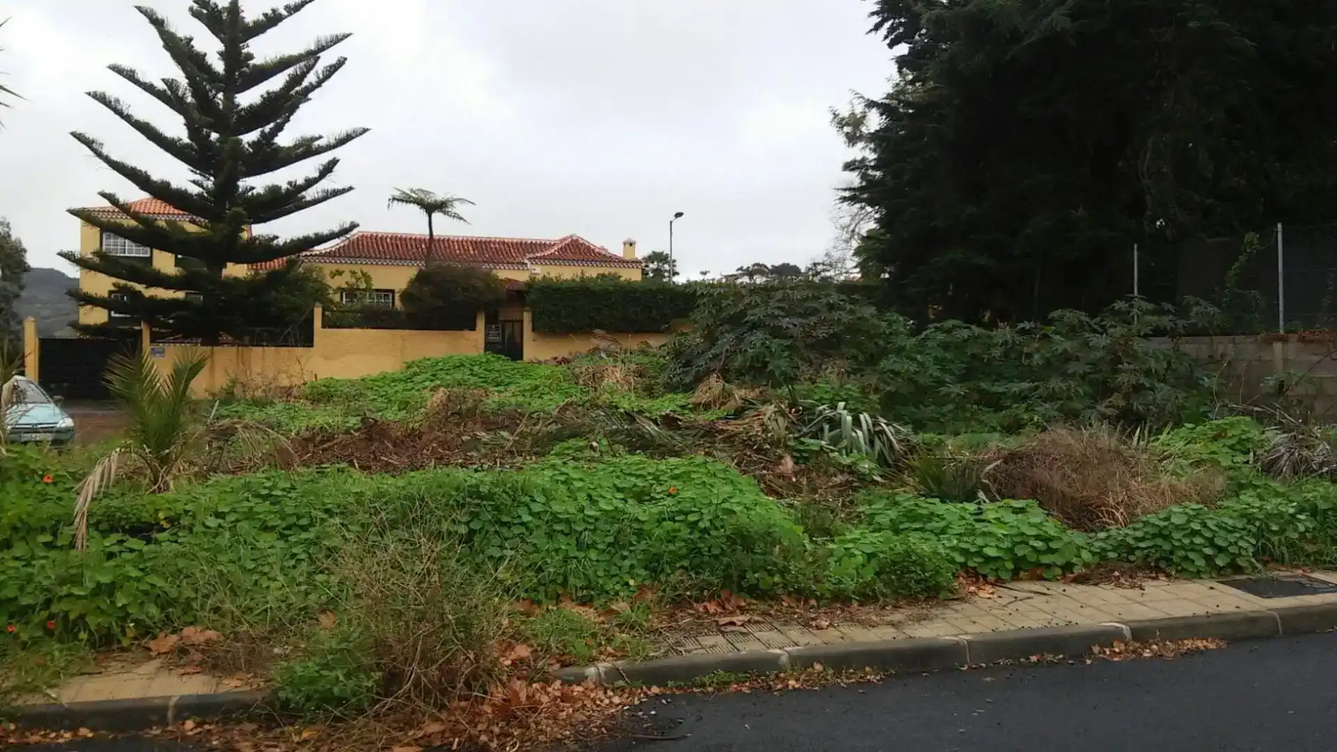 Finca rústica en venda en Tegueste