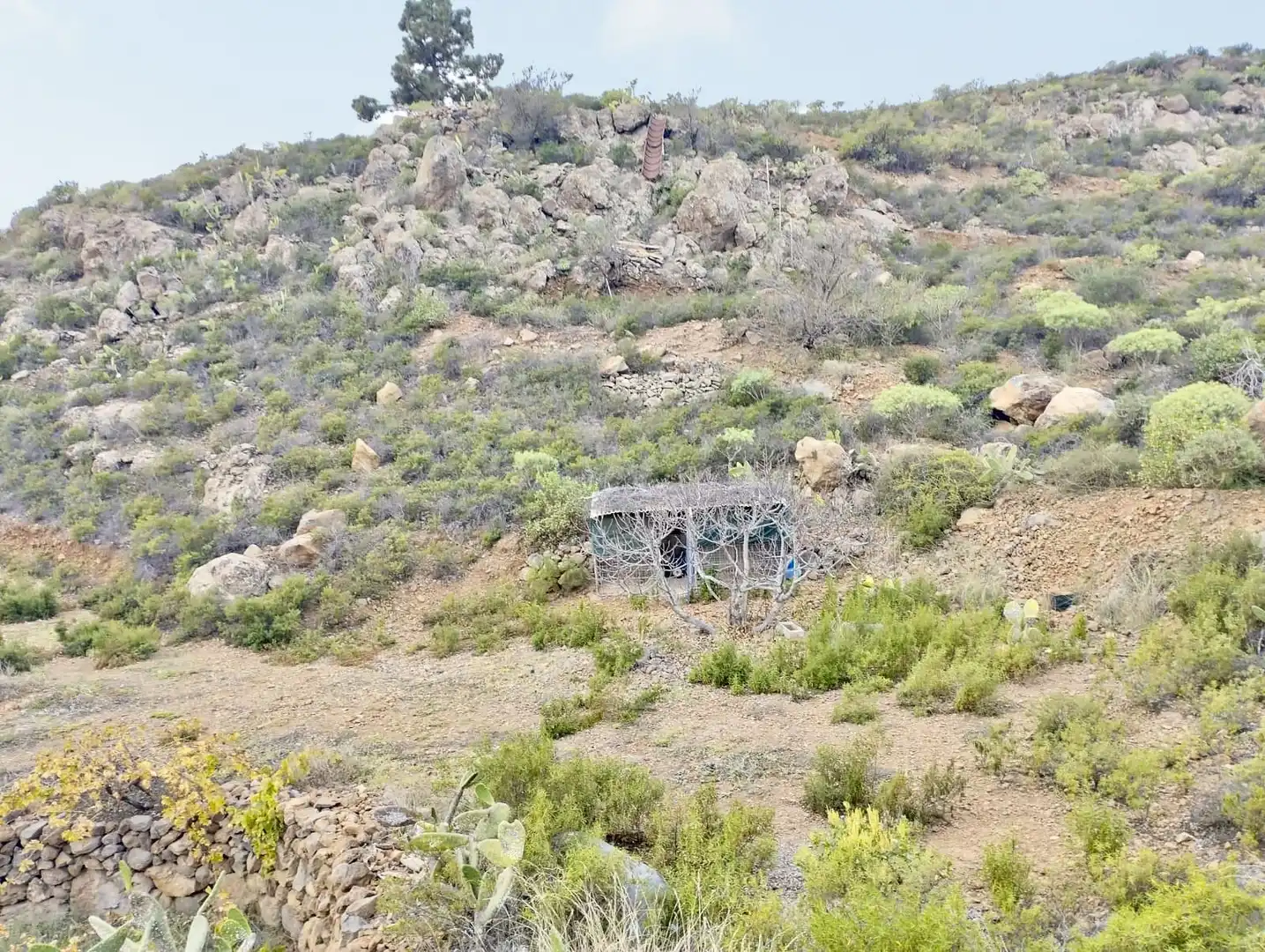 Finca rústica en venta en Granadilla de Abona