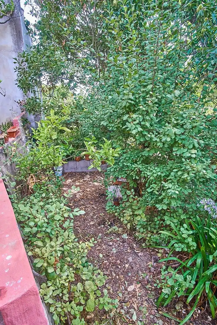 Jardín de Casa o chalet en venta en Vega de San Mateo con Jardín privado y Terraza