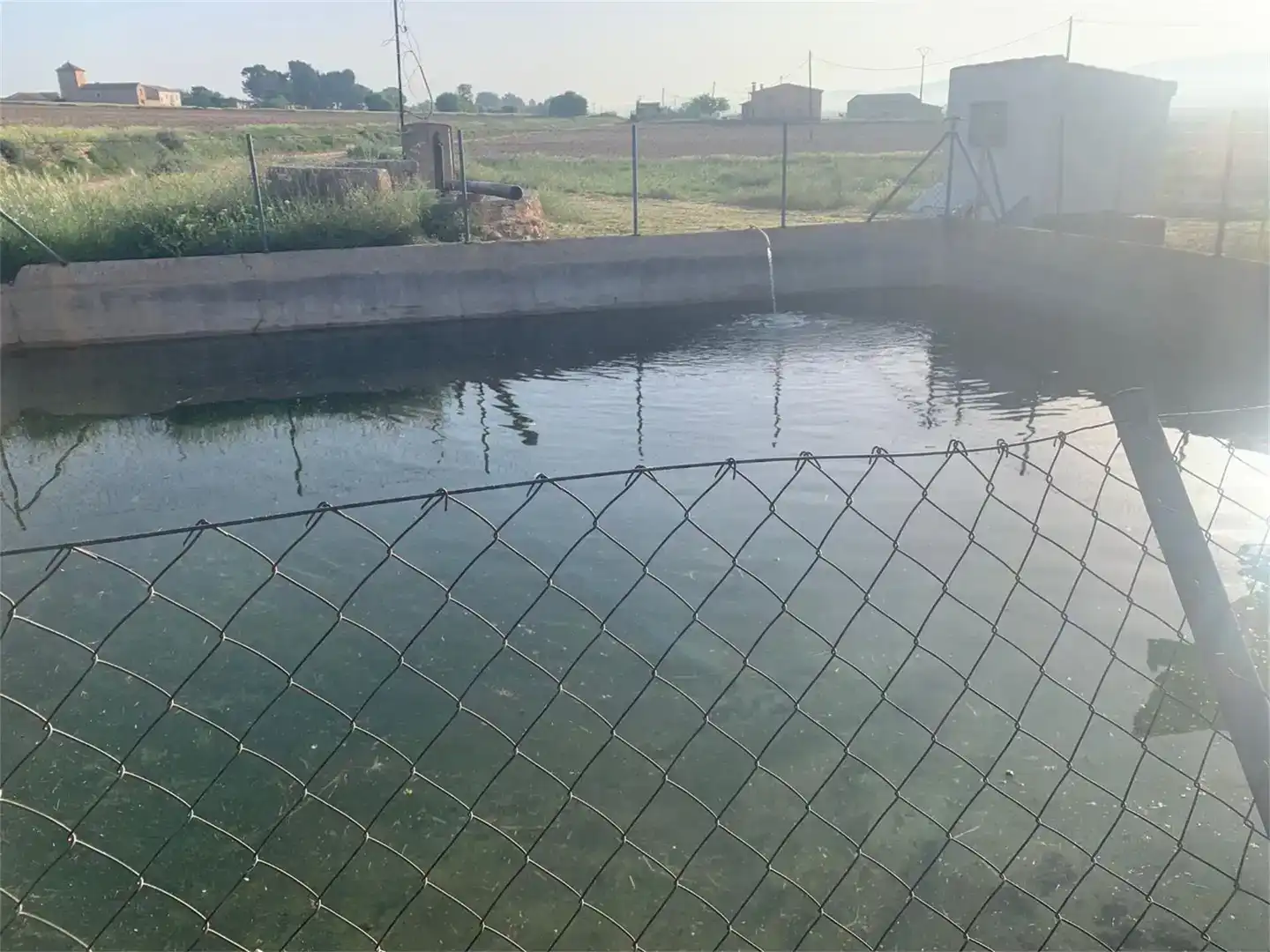 Piscina de Terreno en venta en Ayora