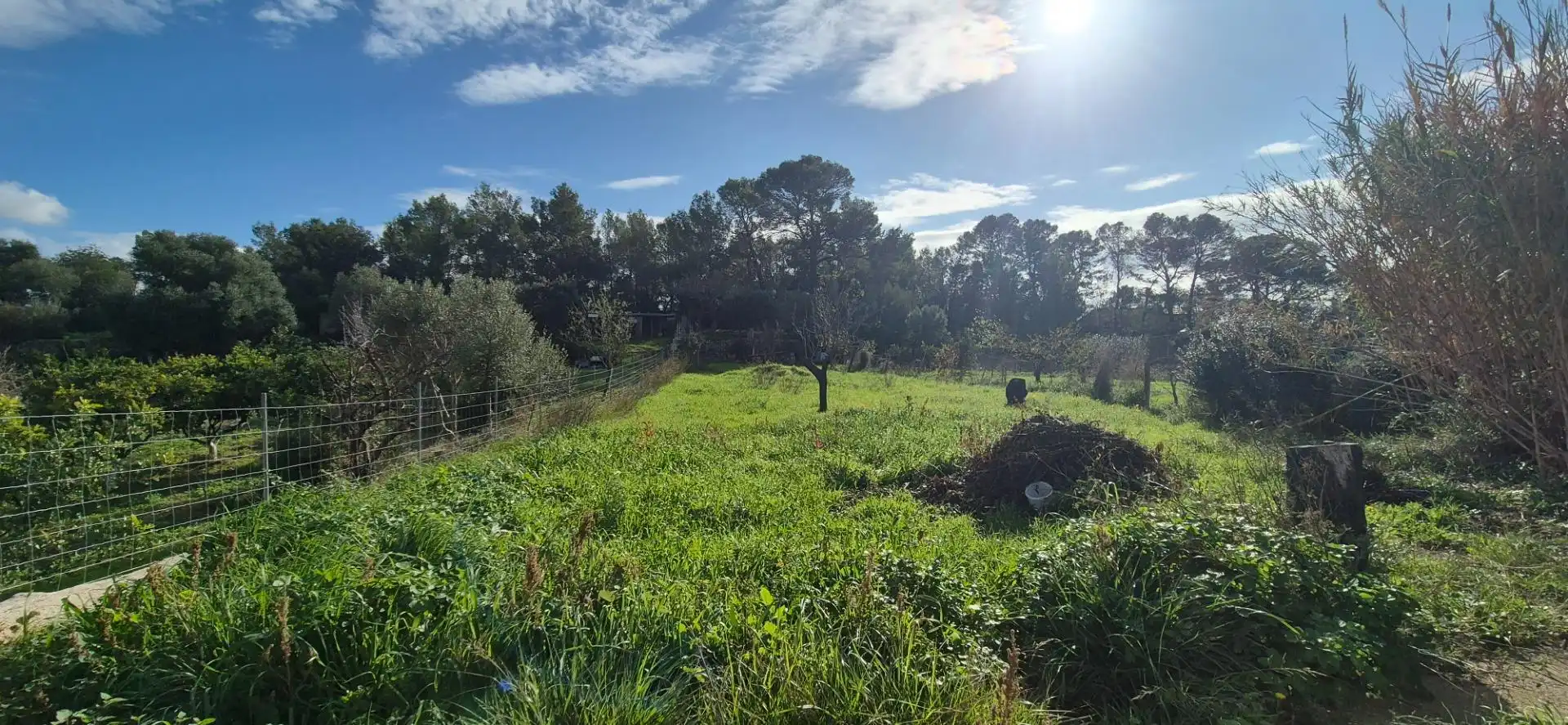 Maison rustique avec terrasse à vendre à Polígono 4 Paraje 41 SA TAULERA, imagen 14