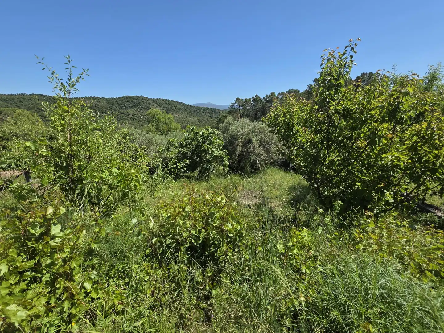 Finca rústica en venta en Darnius con Calefacción, Jardín privado y Terraza