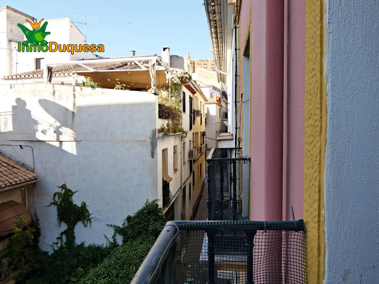 Inmuebles singulares en venta en Centro, imagen 34
