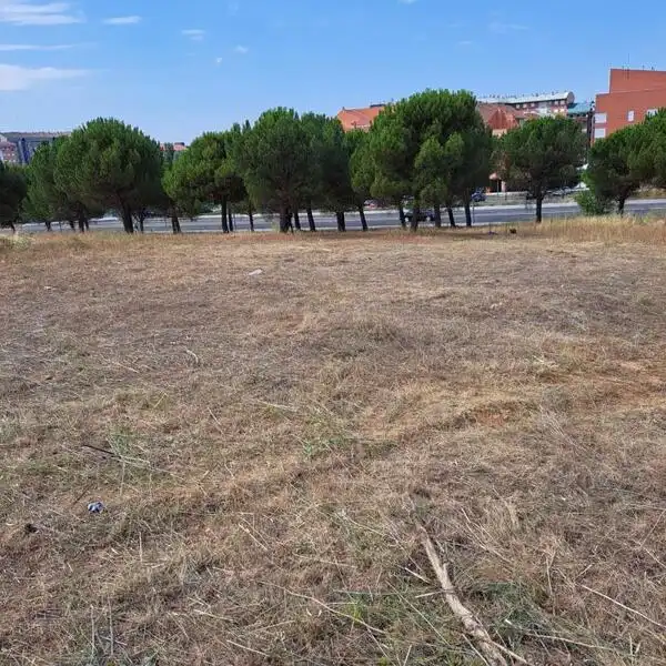 Terreni e lotti in vendita a CARBAJAL, imagen 6