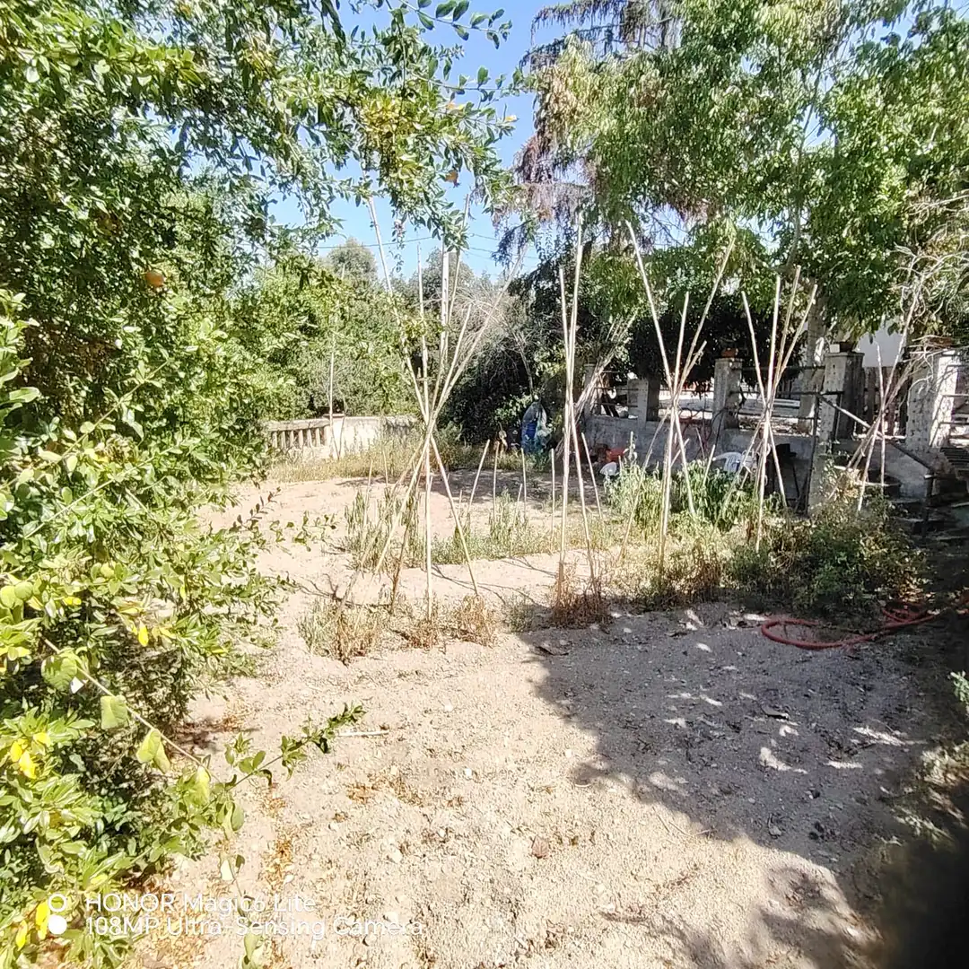 Casa amb jardí en venda a Carrer de les Garrigues, imagen 20