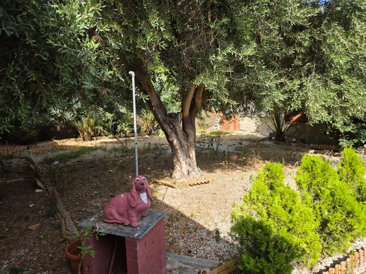 Villa avec jardin à vendre à Playa de San Juan - El Cabo de las Huertas, imagen 9