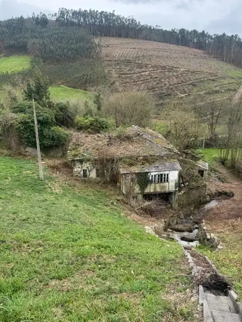 Vista exterior de Finca rústica en venta en Castropol