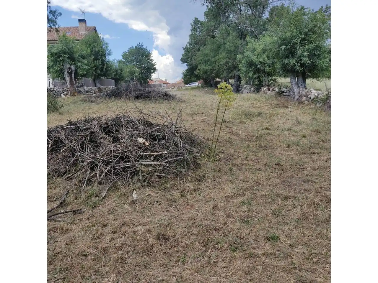 Rustikales Grundstück zum Verkauf in El Berrueco, imagen 5