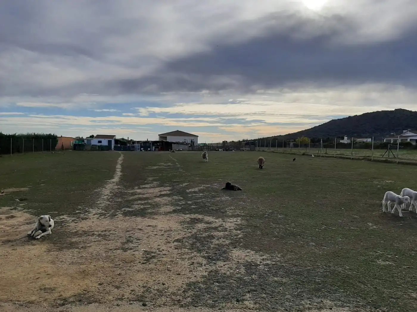 Terreni e lotti in vendita a Valdesalor - Rincón de Ballesteros, imagen 2