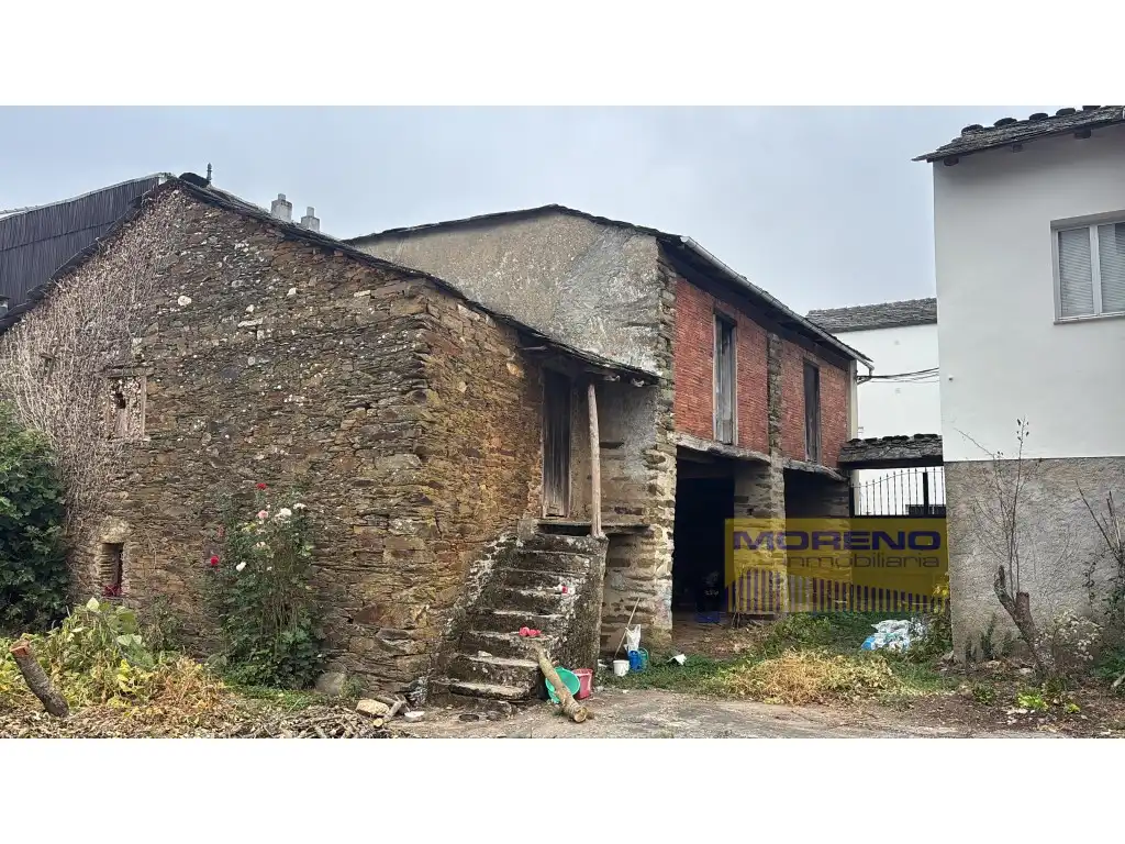Exterior view of Houses for sale in Triacastela