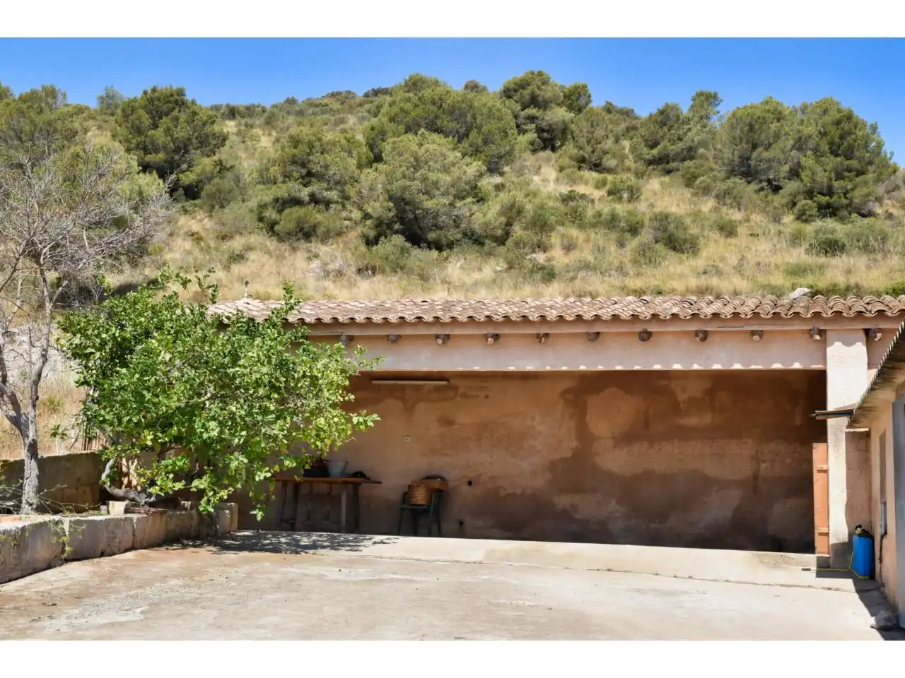 Vista exterior de Finca rústica en venda en Son Servera amb Jardí privat i Terrassa