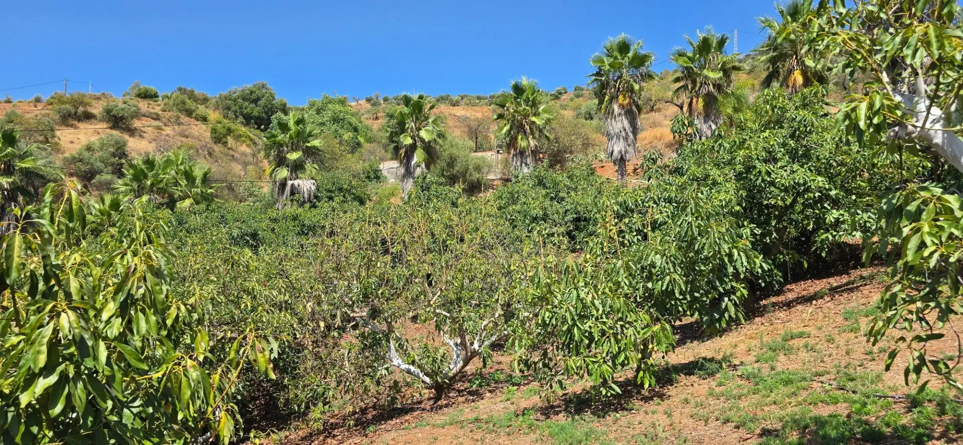 Casa o xalet en venda en Guaro amb Aire condicionat, Jardí privat i Moblat
