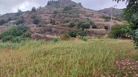 Photo 2 of Land for sale in Carretera Teror a San Mateo, 15-13, El Álamo - Arbejales, Teror