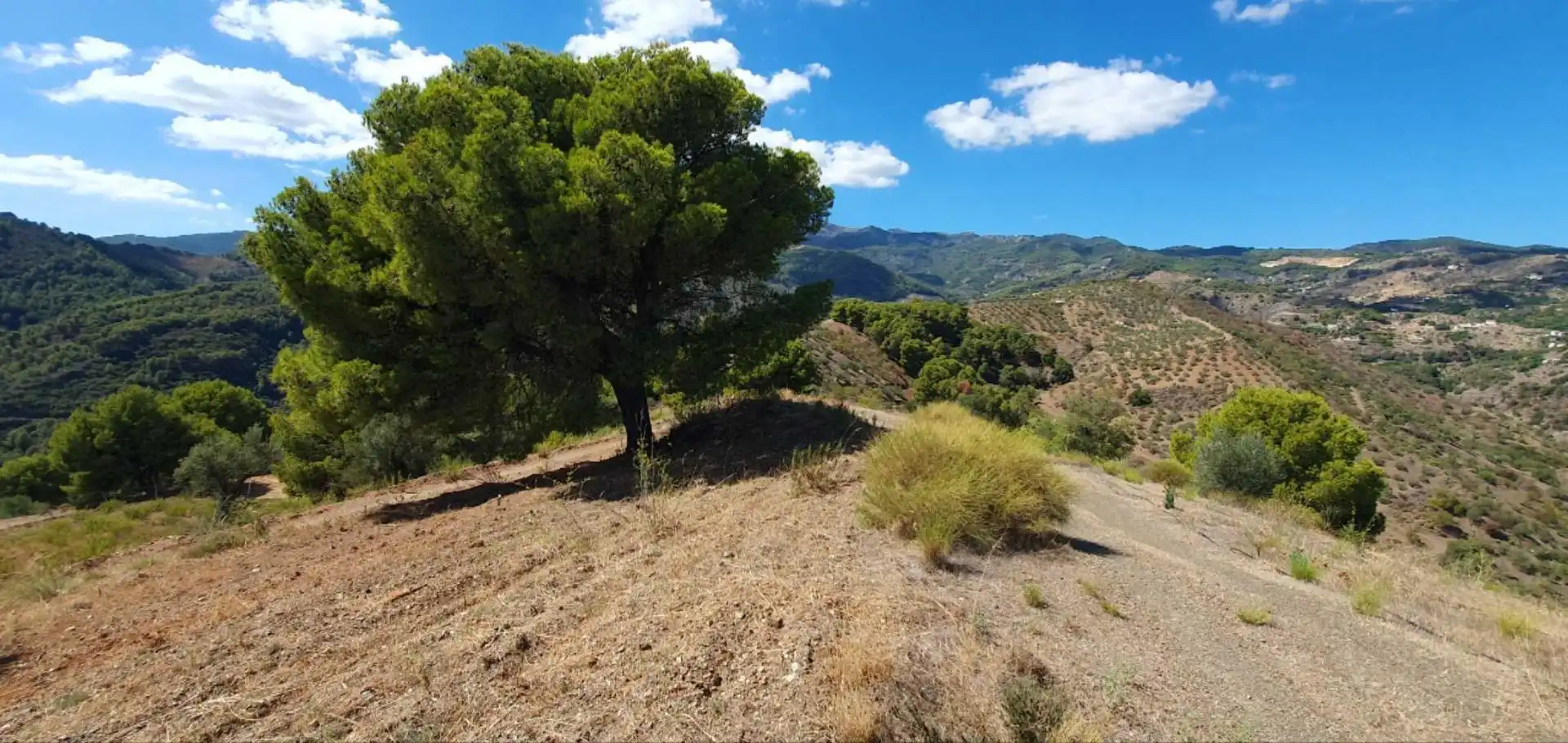 Casa rústica amb jardí en venda a Yunquera, imagen 20