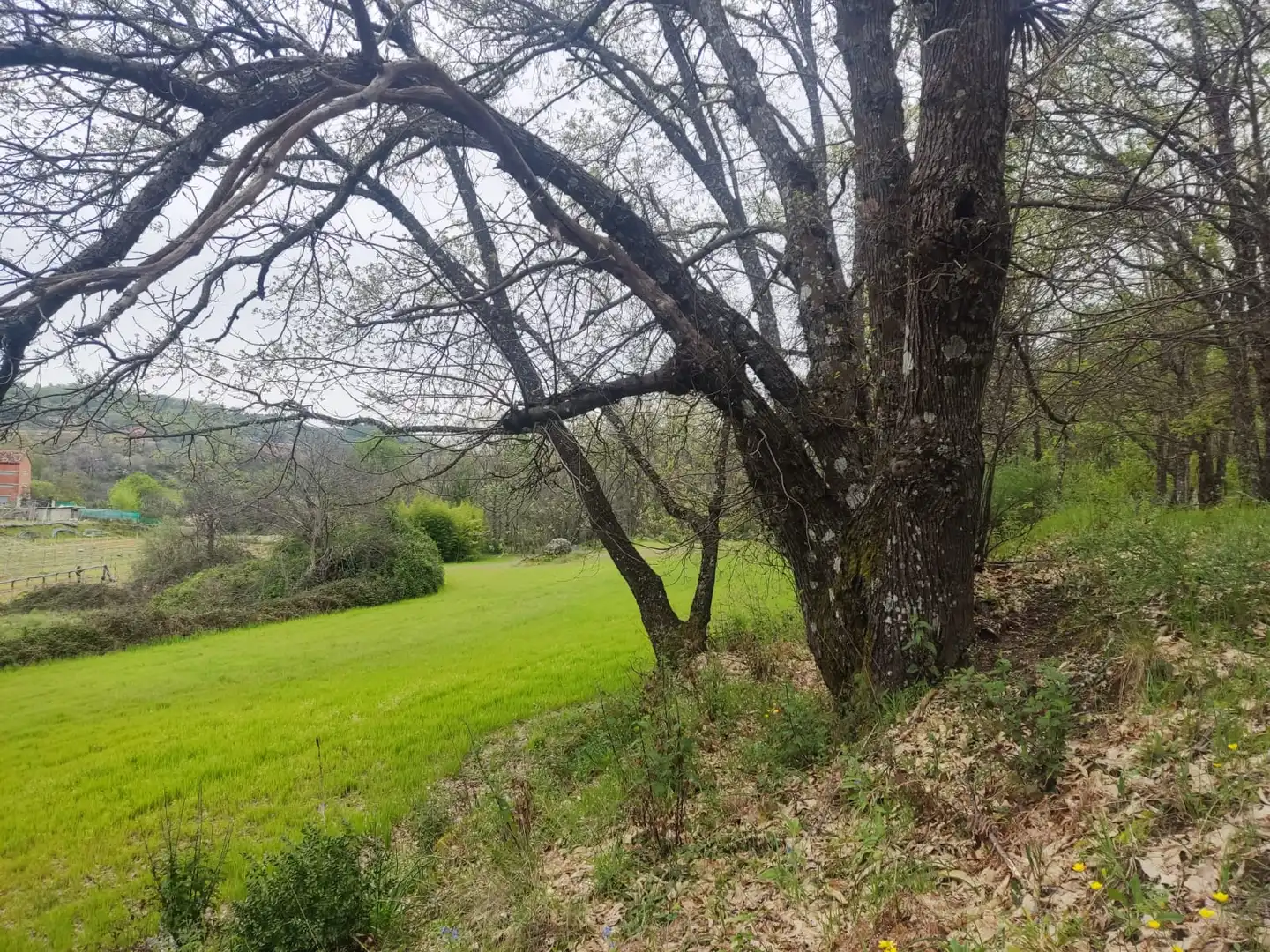 Terreni e lotti in vendita a Jarandilla de la Vera, imagen 16