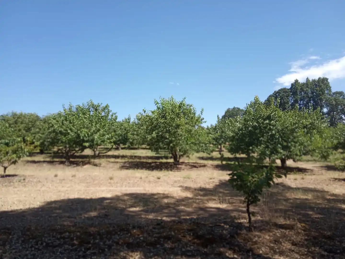 Terreni e lotti in vendita a La Cañada - Aldea Moret, imagen 11