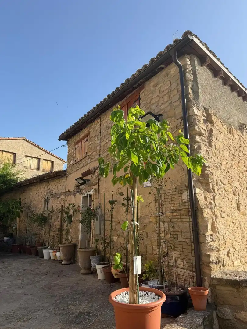 Vista exterior de Finca rústica en venta en Camarasa
