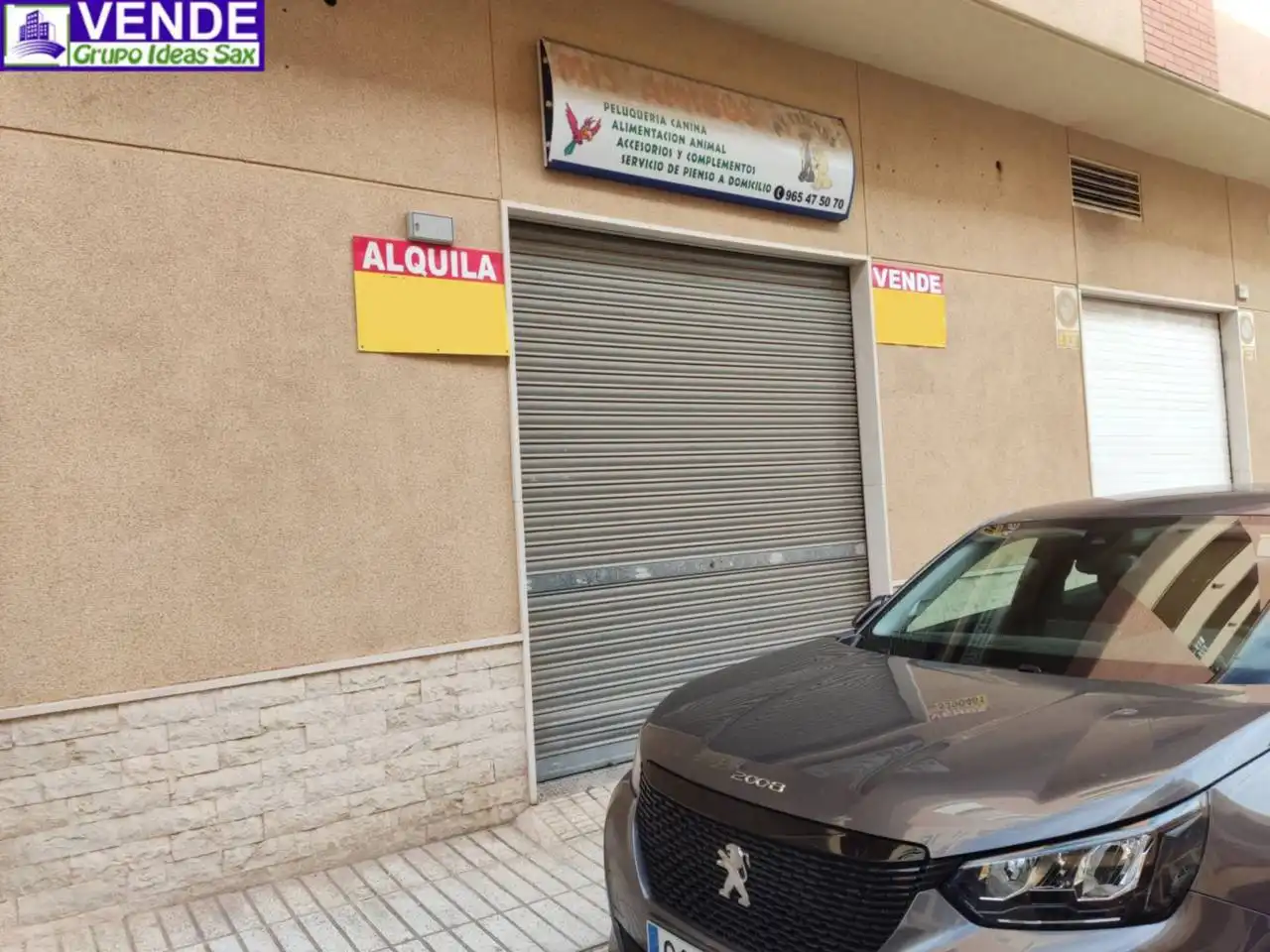 Local comercial en alquiler en Pascual Carrión 2