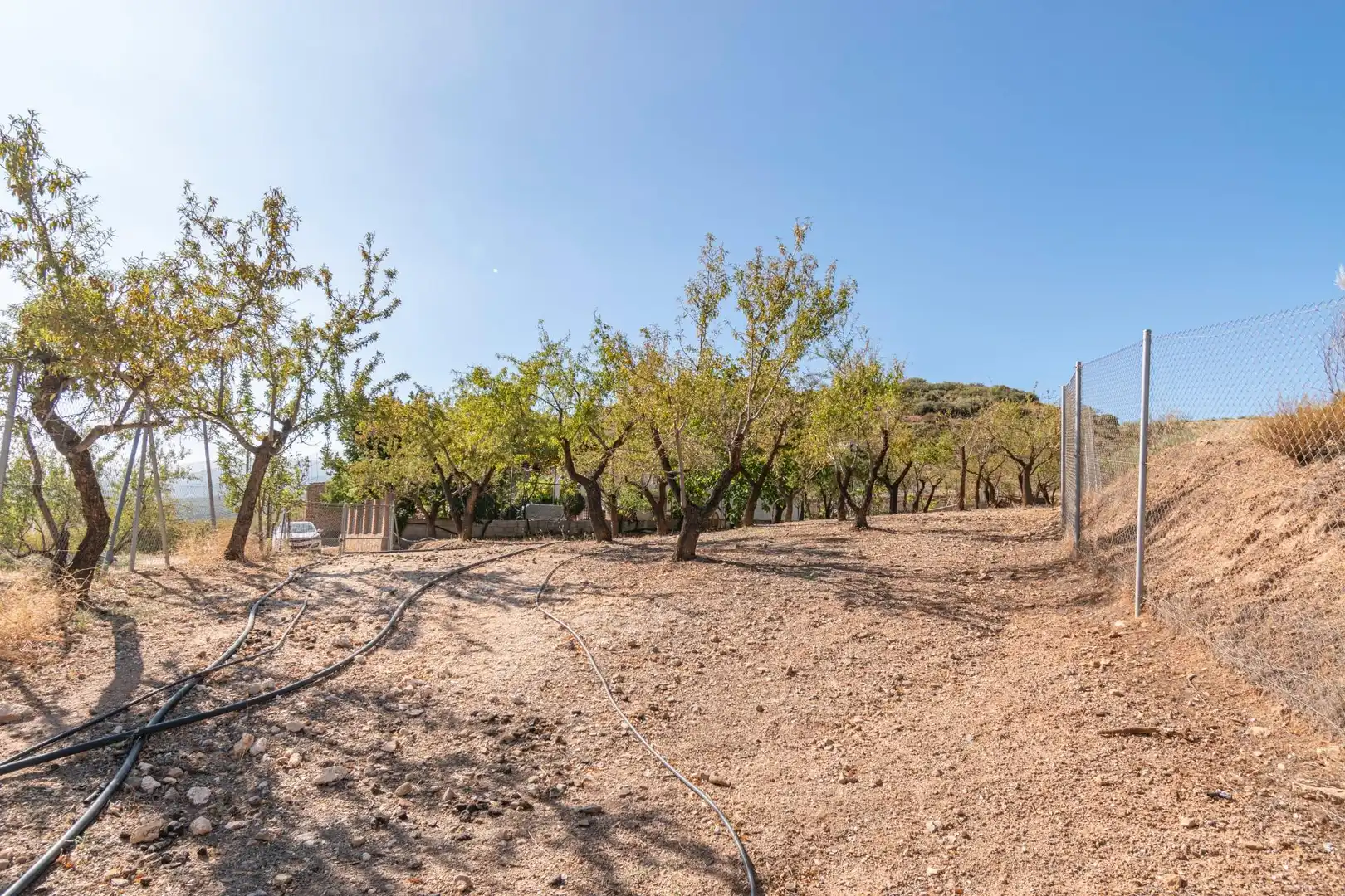 Finca rústica en venta en Vereda morollon, La Peza