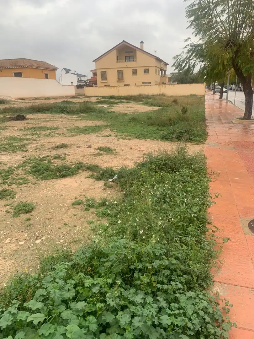 Wohnbaugrundstück zum Verkauf in Calle Juan Carlos I 161, imagen 3