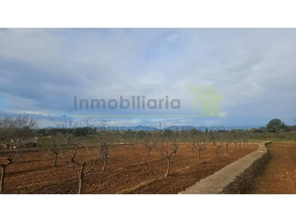 Wohnbaugrundstück zum Verkauf in Ulldecona, imagen 15