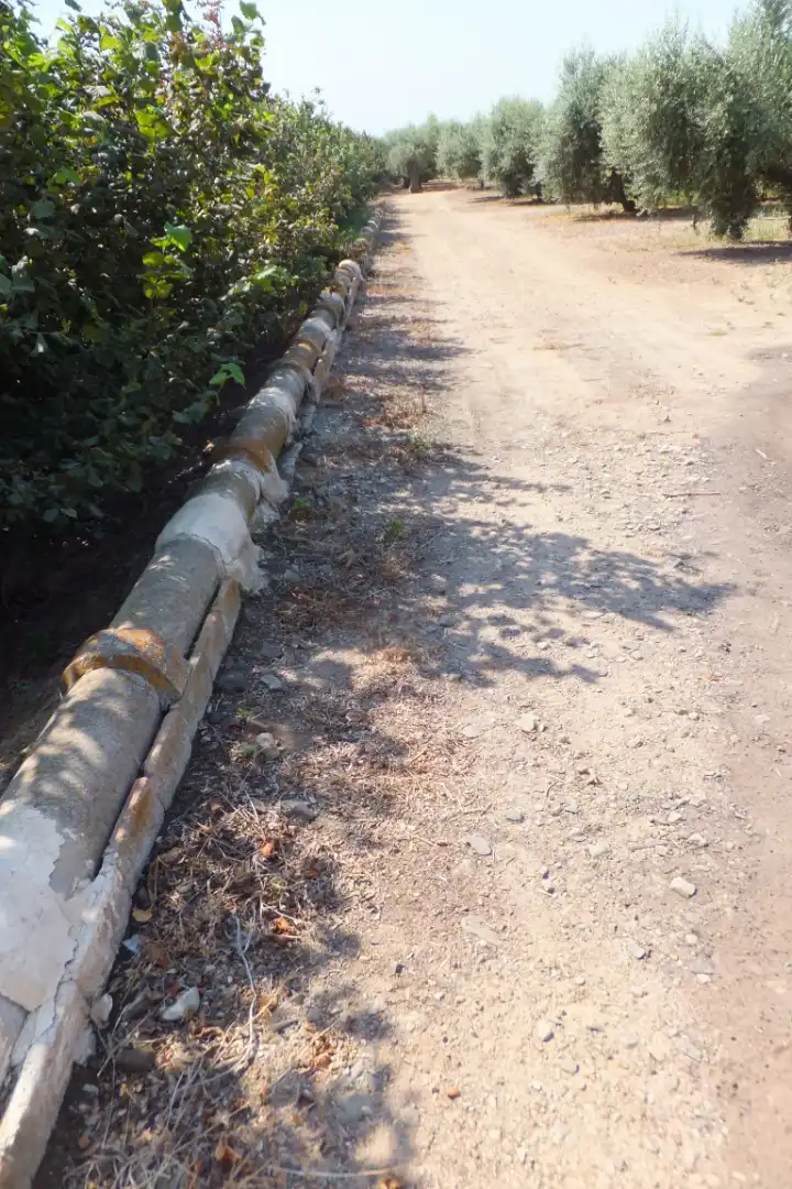 Terreno rústico en venta en Vial Camino, imagen 6