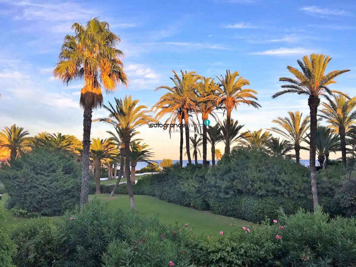 Apartment to rent in Puerto de Sotogrande - La Marina, imagen 16
