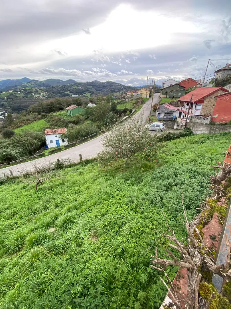 Casa o chalet en venta en Langreo con Jardín privado