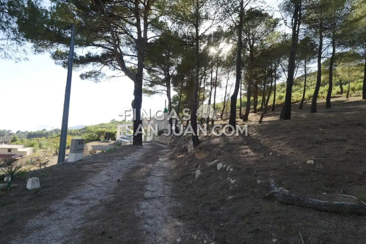Residential zum Verkauf in Torremanzanas / La Torre de les Maçanes