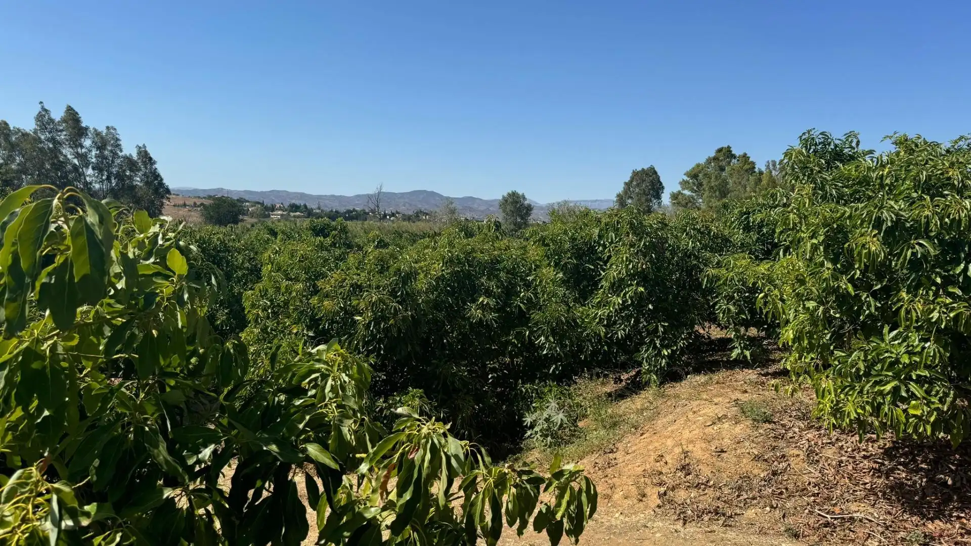 Terreno rustico in vendita a Capellanía - Retamar, imagen 13
