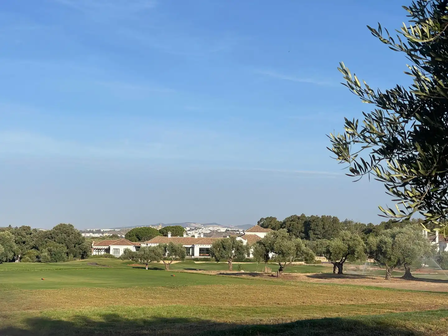 Villa con piscina in vendita a Calle c. de los olivos, imagen 81