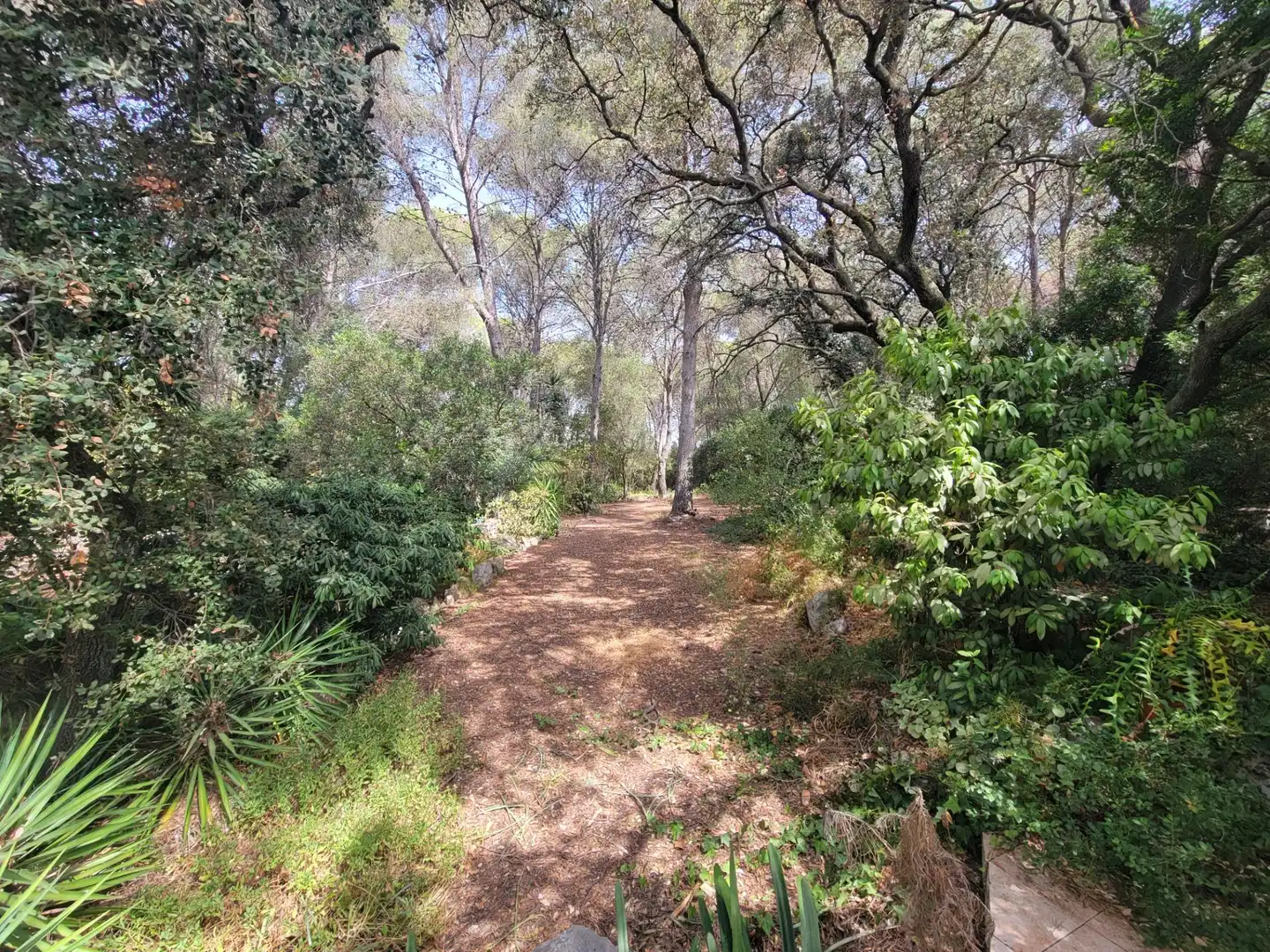 Residential for sale in El Catllar 