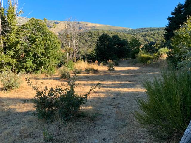 Terreno residencial en Venta en Calle Cerrado, 20 en Candelario