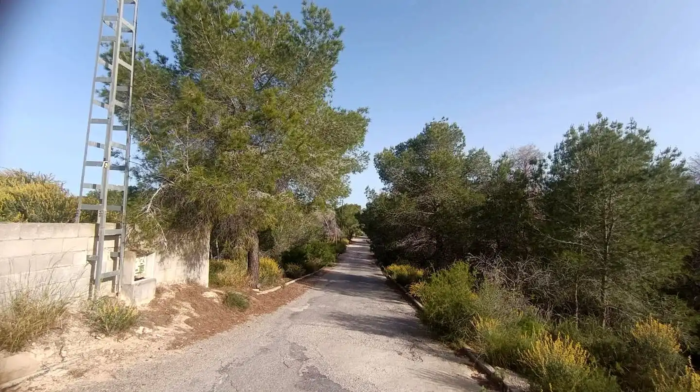 Terreni e lotti in vendita a Poniente, imagen 3