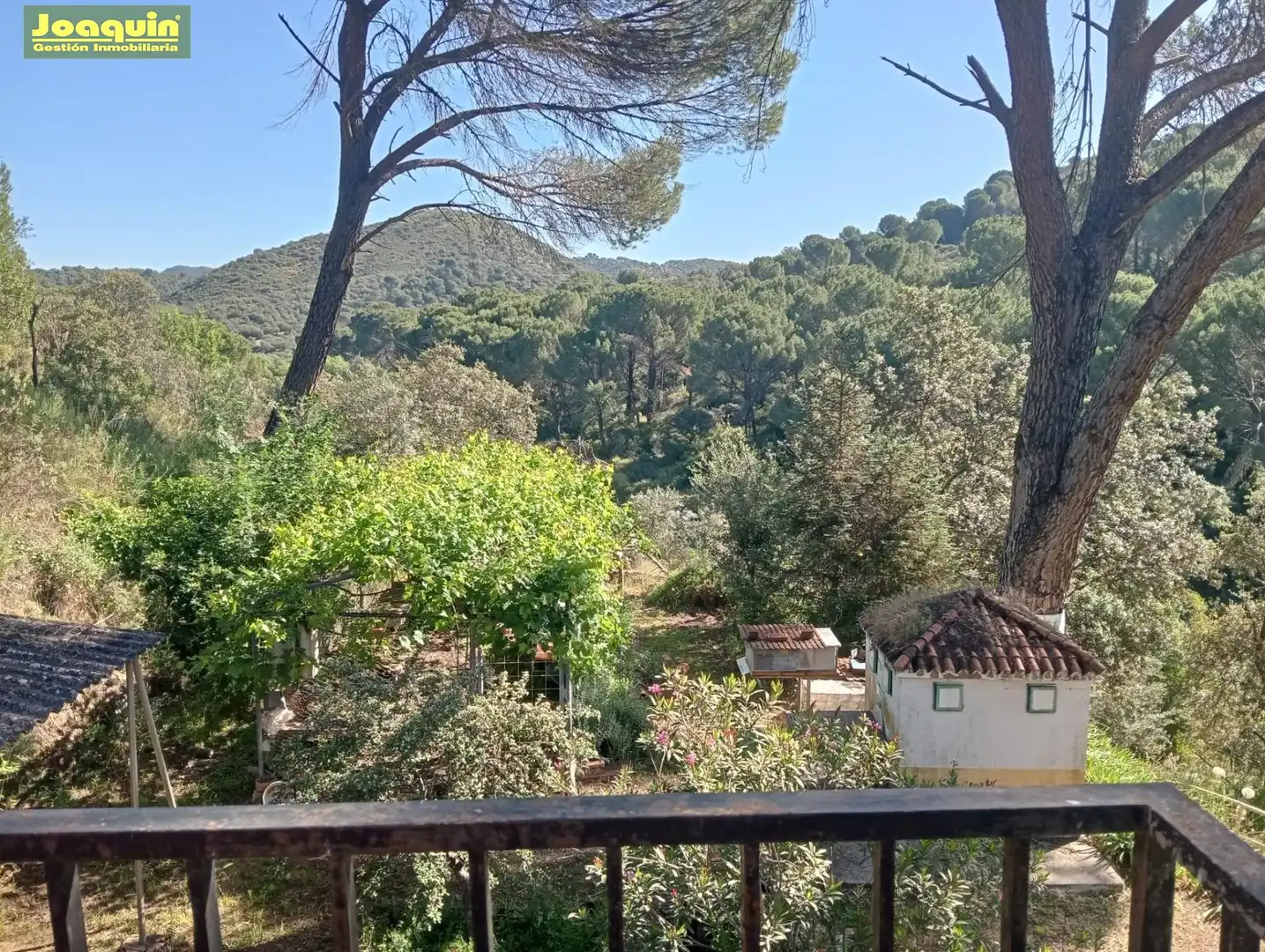Jardí de Finca rústica en venda en Córdoba