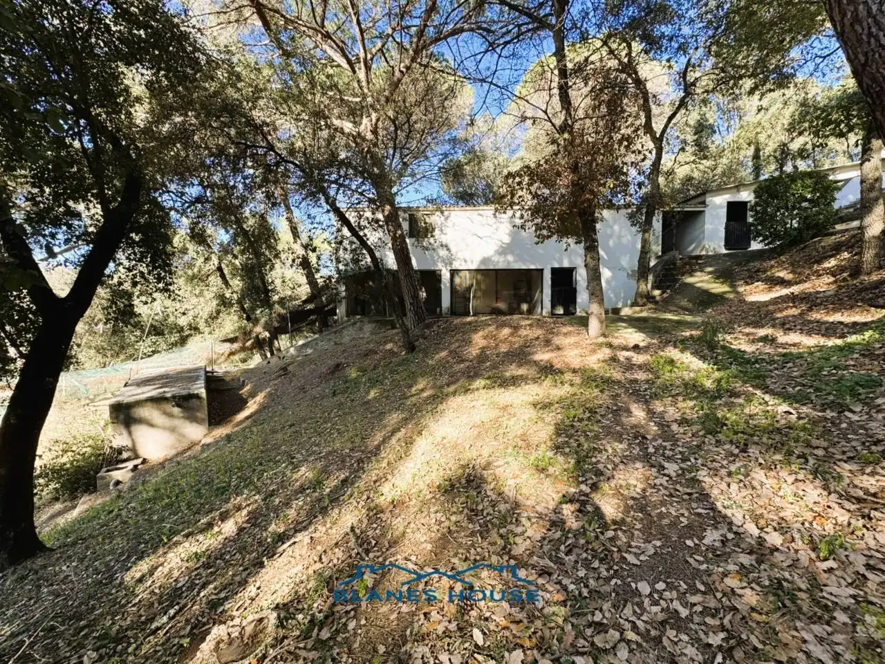 Vista exterior de Finca rústica en venda en Sant Feliu de Buixalleu amb Calefacció, Jardí privat i Terrassa