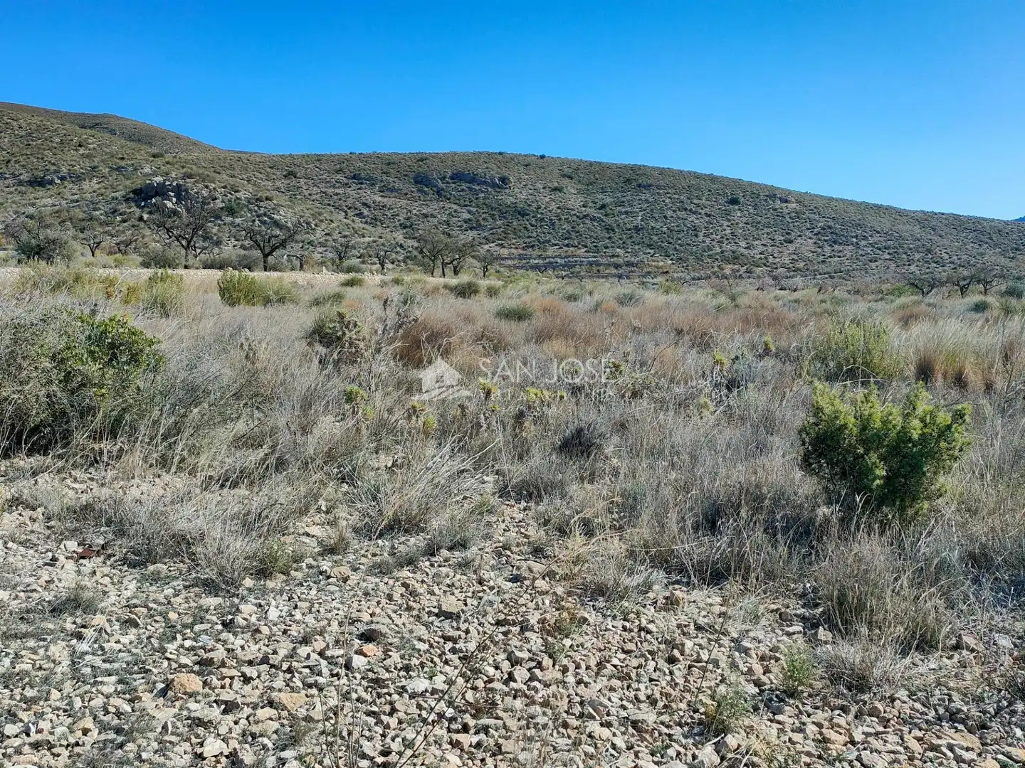 Terreno rustico in vendita a Hondón de los Frailes, imagen 3