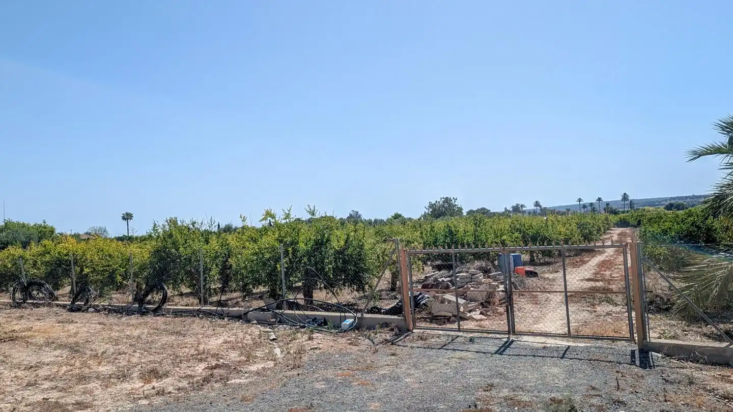 Casa o xalet en venda en Elche / Elx amb Aire condicionat, Jardí privat i Terrassa