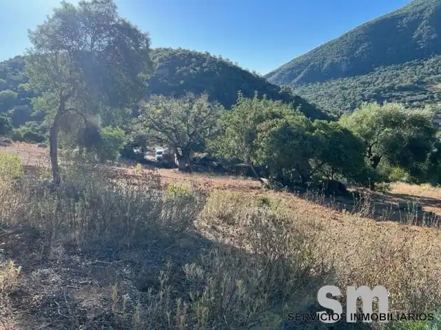 Terreni e lotti in vendita a Benaocaz, imagen 11