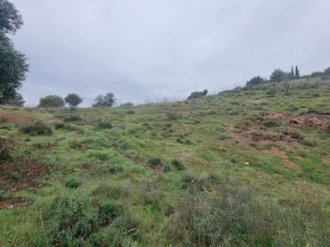 Grundstücke und Bauplätze zum Verkauf in Coín