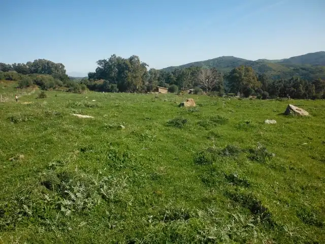 Rustikales Grundstück zum Verkauf in Puerto El Bujeo, imagen 5