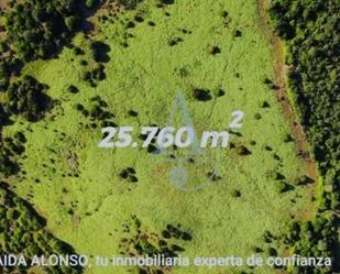 Land for sale in Tarifa