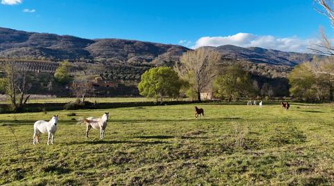Foto 4 von Grundstücke zum Verkauf in N/a, -1, El Torno , Cáceres