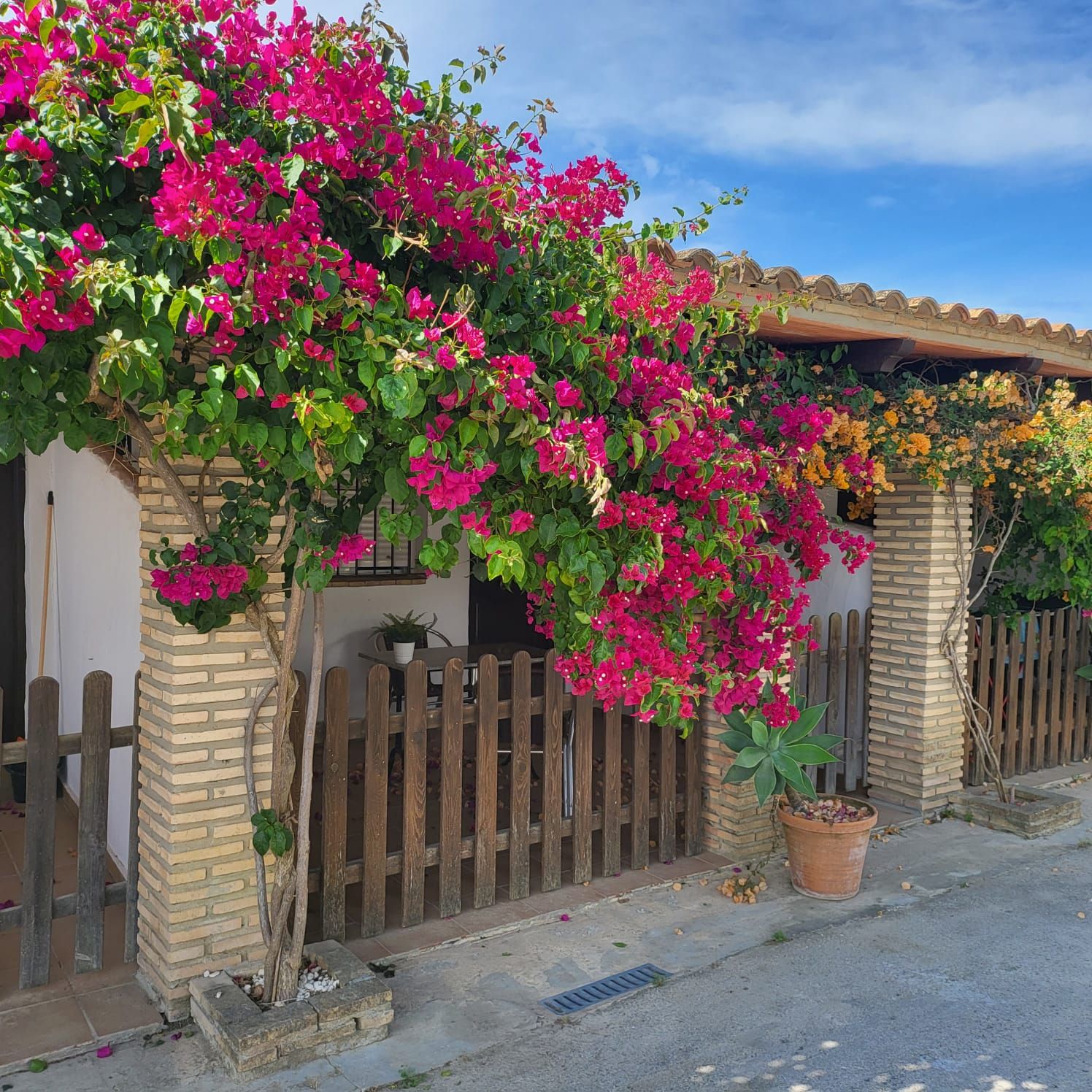 Estudi de lloguer a Carril de Veron, 23, Roche