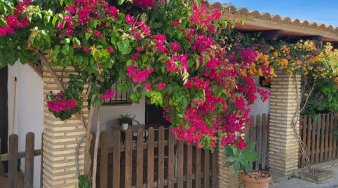 Foto 2 de Estudi de lloguer a Carril de Veron, 23, Roche, Cádiz