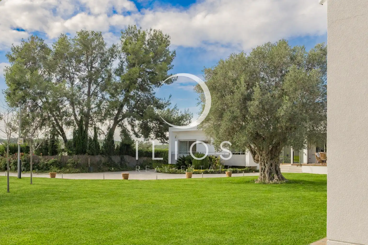 Houses for sale in Olocau